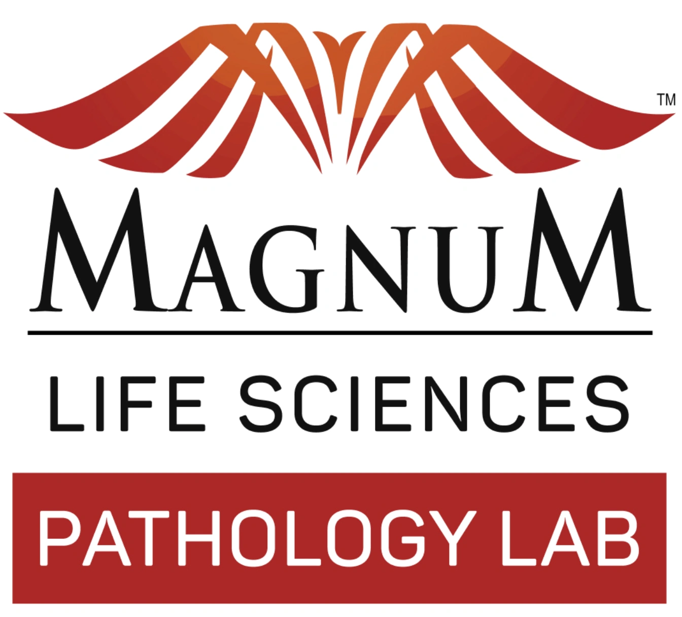 Magnum Labs